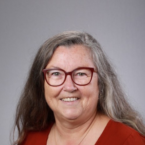 Photograph of Diane Hobbs
